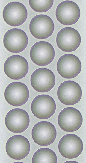 1791962643193593.png